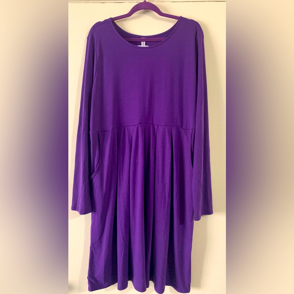 NWT Zenana Premium 3X Guia  Long sleeve mini dress